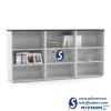 BOOK CABINET