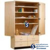 School Cabinet