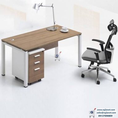 Multifunctional Office Table