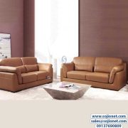 Brown Highly Comfortable Sofa