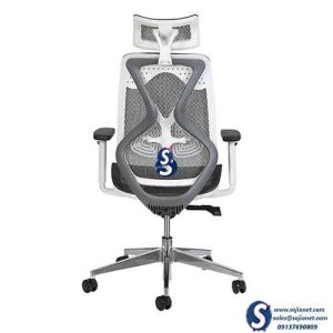 Mesh Back Pain Ergonomic Chair in Lagos Abuja Port harcourt Ibadan Nigeria