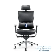Ergohuman Ergonomic Executive Leather Chair in Lagos Port harcourt Abuja Warri Delta Enugu Nigeria
