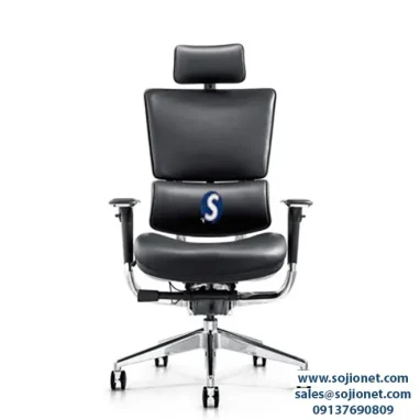Ergohuman Ergonomic Executive Leather Chair in Lagos Port harcourt Abuja Warri Delta Enugu Nigeria